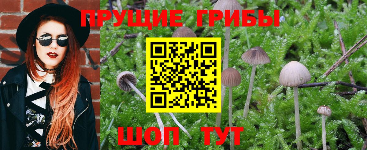 Галлюциногенные грибы Magic Shrooms  Вход с VPN  Керчь 